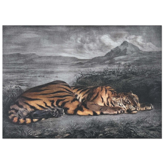 Royal Tiger, Eugène Delacroix