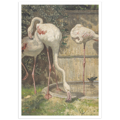 Poster Deux flamants roses, chambre d'enfant