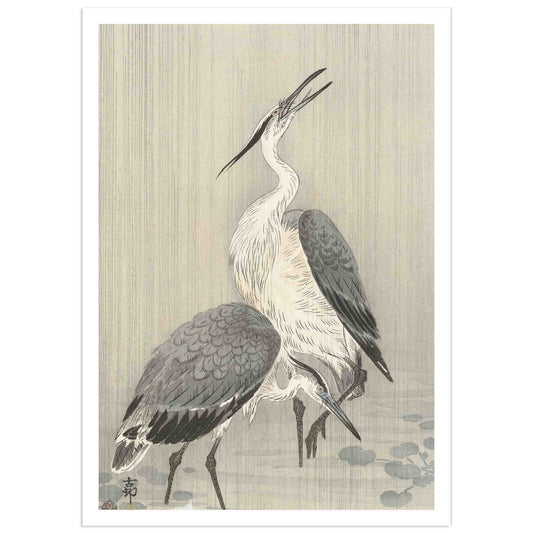 Two long-legged herons with grey feathers stand in shallow water; one lifts its head skyward with an open beak, the other bends toward the surface. Thin vertical lines depict falling rain against a soft background. Reproduction of a Japanese print by Ohara Koson.