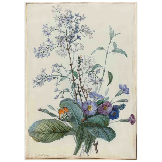 Bouquet de fleurs aux insectes, affiche de Pierre-Joseph Redouté