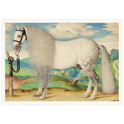Dappled Gray Stallion Tethered in a Landscape