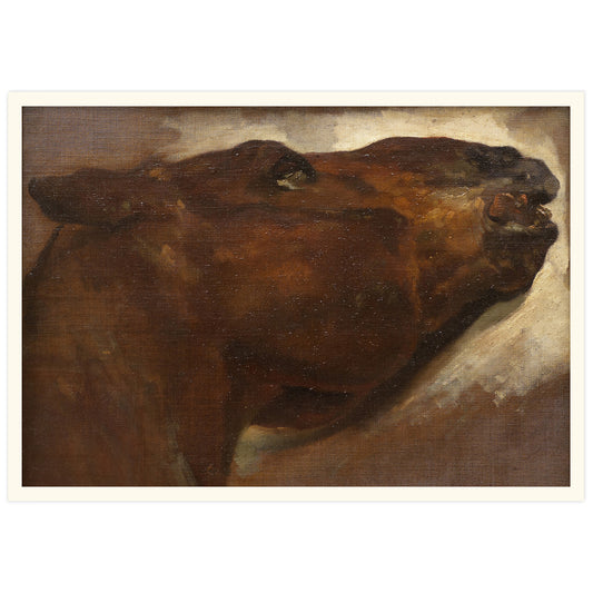 study of a horse, painting by Théodore Géricault
