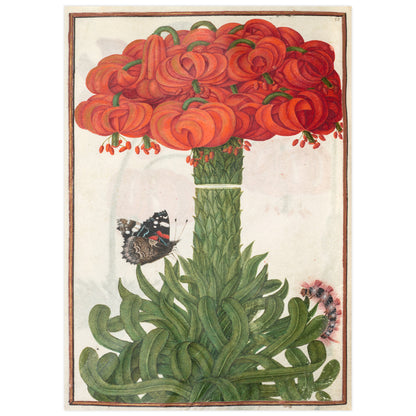 Boquet de lys oranges