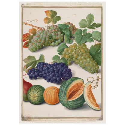 Raisins noirs et blancs, melons et oranges, Johann Walter