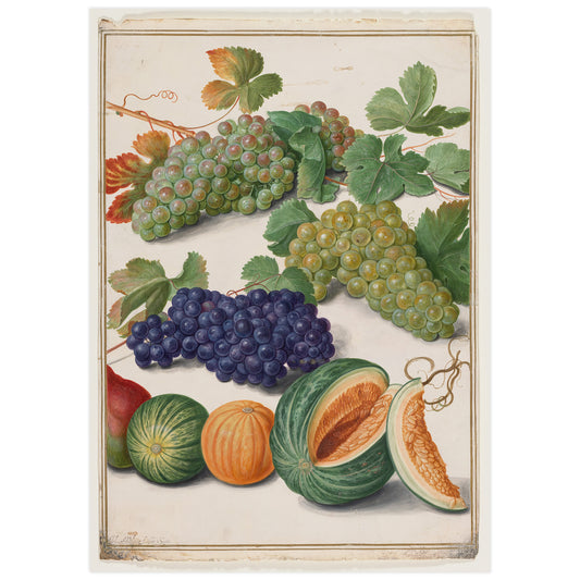 Black and white grapes, melons and oranges, Johann Walter