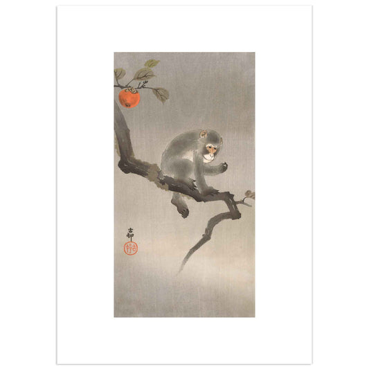 Monkey on a Persimmon Tree by Ohara Koson