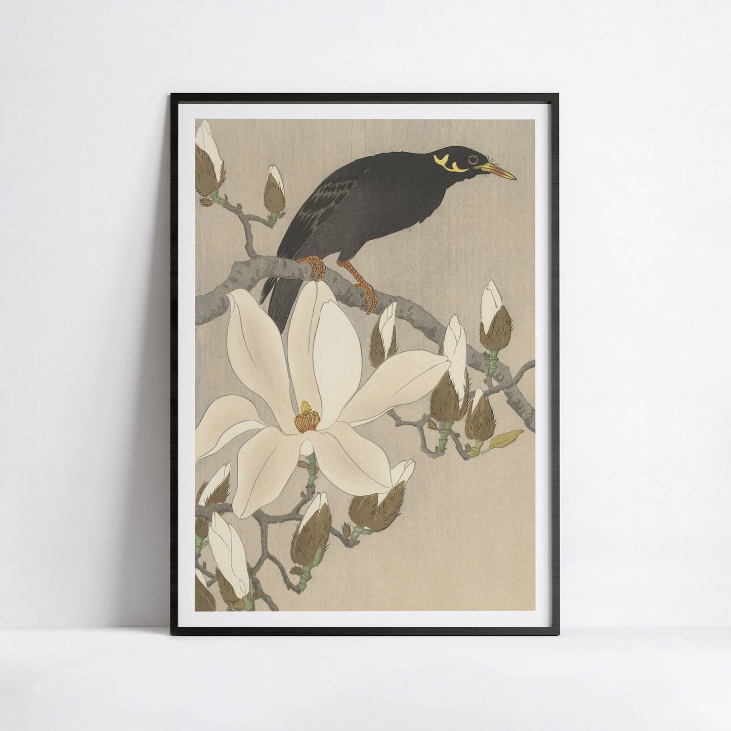 Mainate sur une branche de magnolia en fleurs – Reproduction d’estampe d’Ohara Koson
