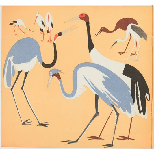 Birds - Vintage French Coloring Book – Instant Download