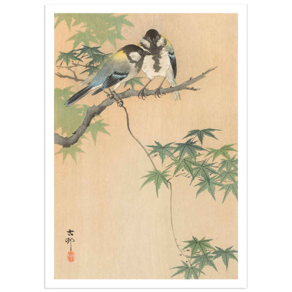 Mésange charbonnière sur une branche d'érable - Ohara Koson