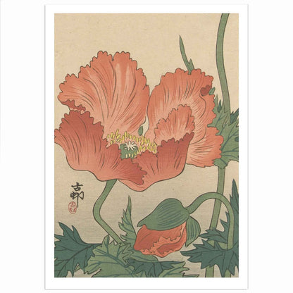 Japanese art print of vibrant poppies by Ohara Koson, featuring detailed floral design with soft colors