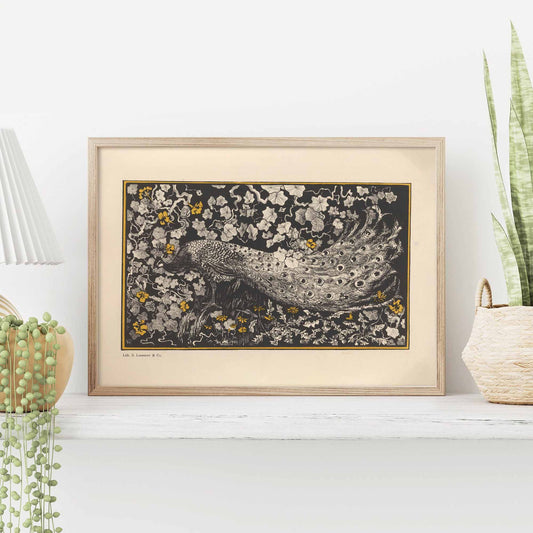 Pauw de Theo van Hoytema - Lithographie de paon vintage Impression artistique