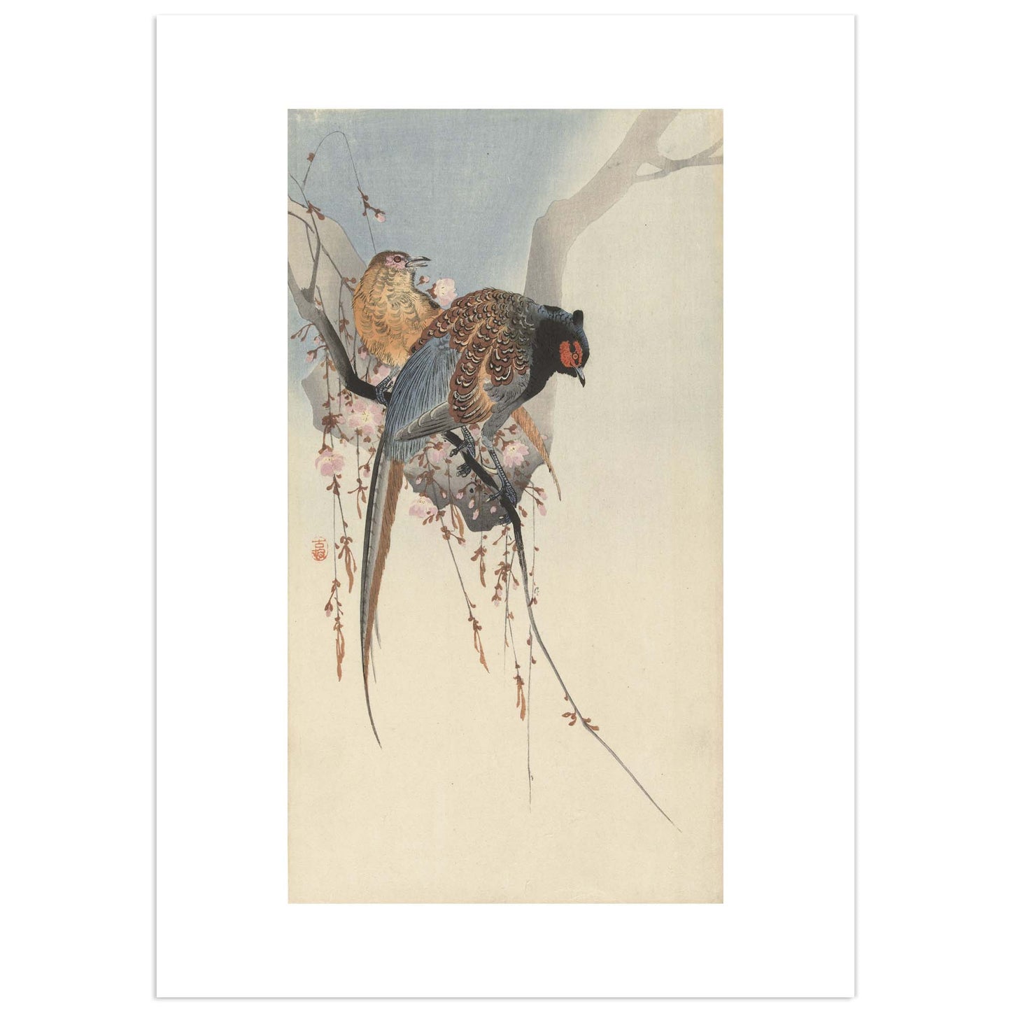 Couple de faisans et fleurs de prunier – Ohara Koson (estampe japonaise)