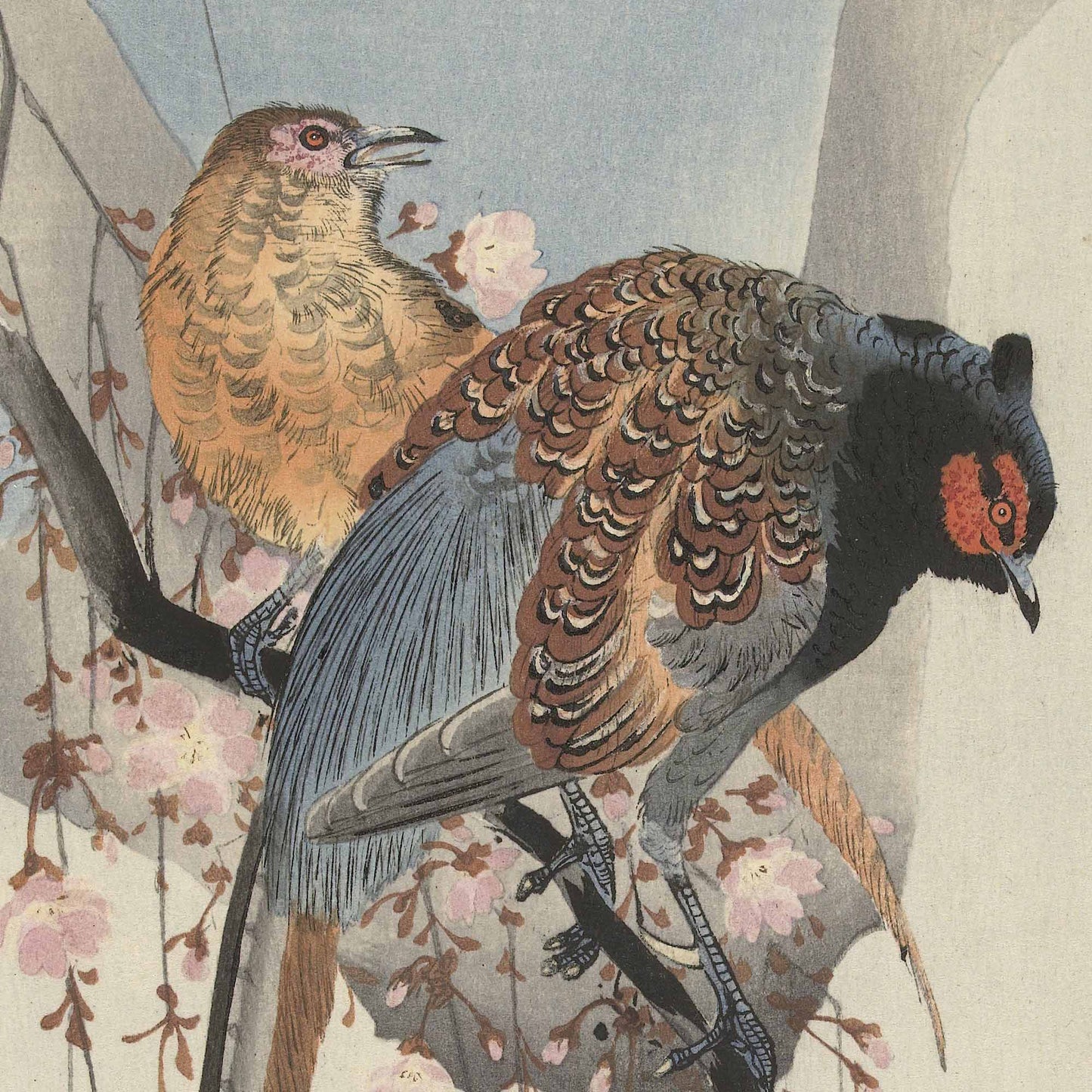 Couple de faisans et fleurs de prunier – Ohara Koson (estampe japonaise)