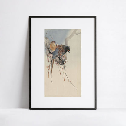 Couple de faisans et fleurs de prunier – Ohara Koson (estampe japonaise)