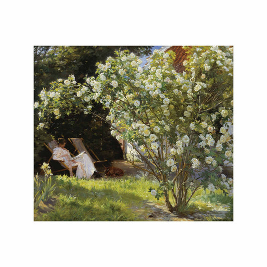 Woman resting in a deckchair in a sunlit garden surrounded by white roses, centered within a square print with white margins.