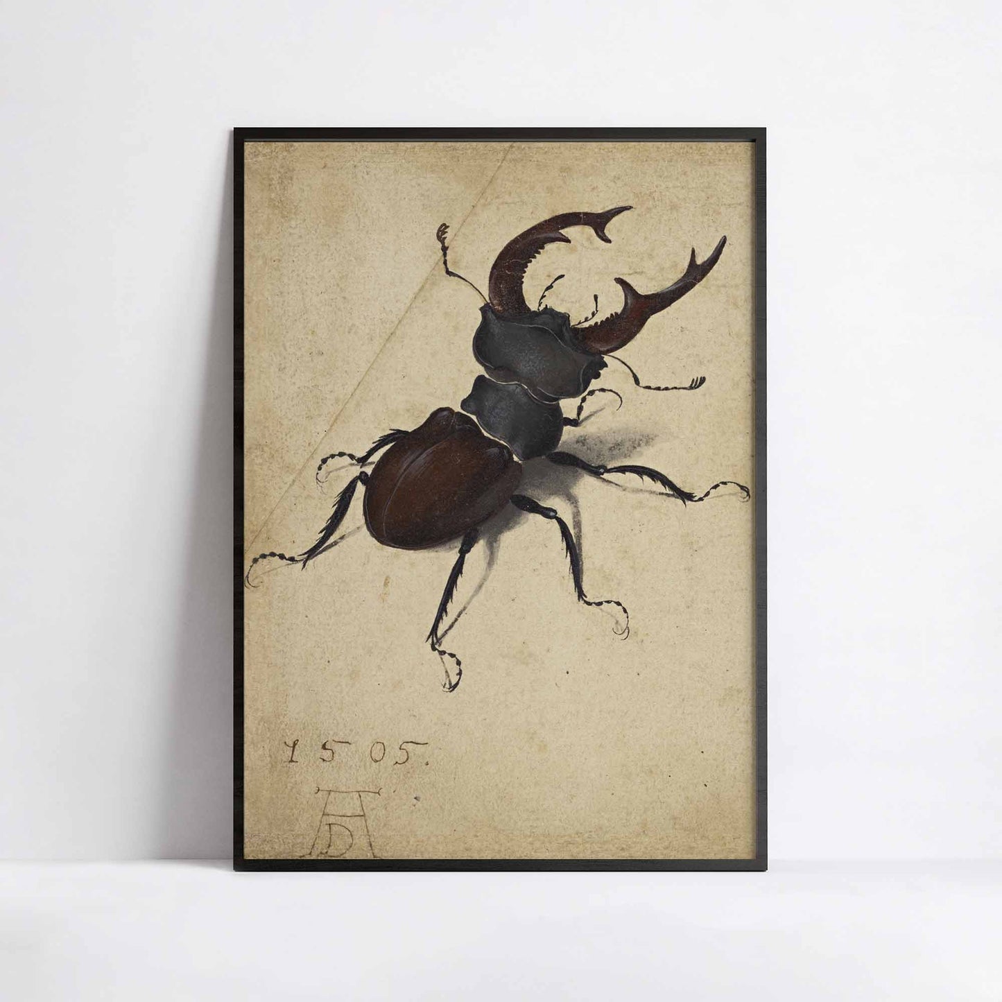 Stag Beetle – Albrecht Dürer (1505)