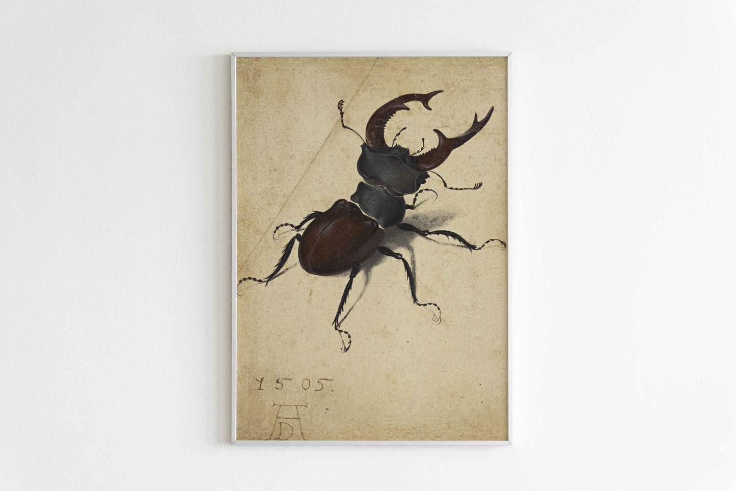 Stag Beetle – Albrecht Dürer (1505)