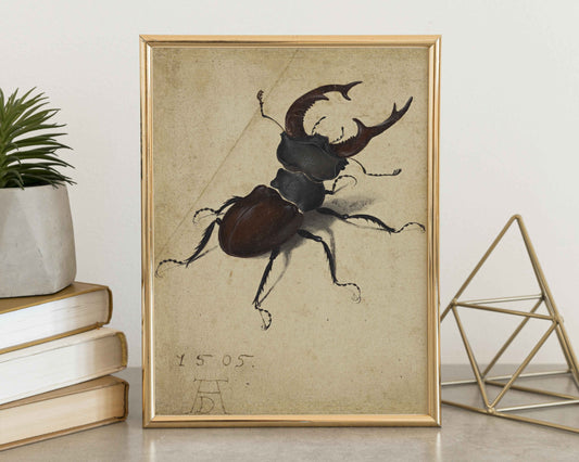 Stag Beetle – Albrecht Dürer (1505)
