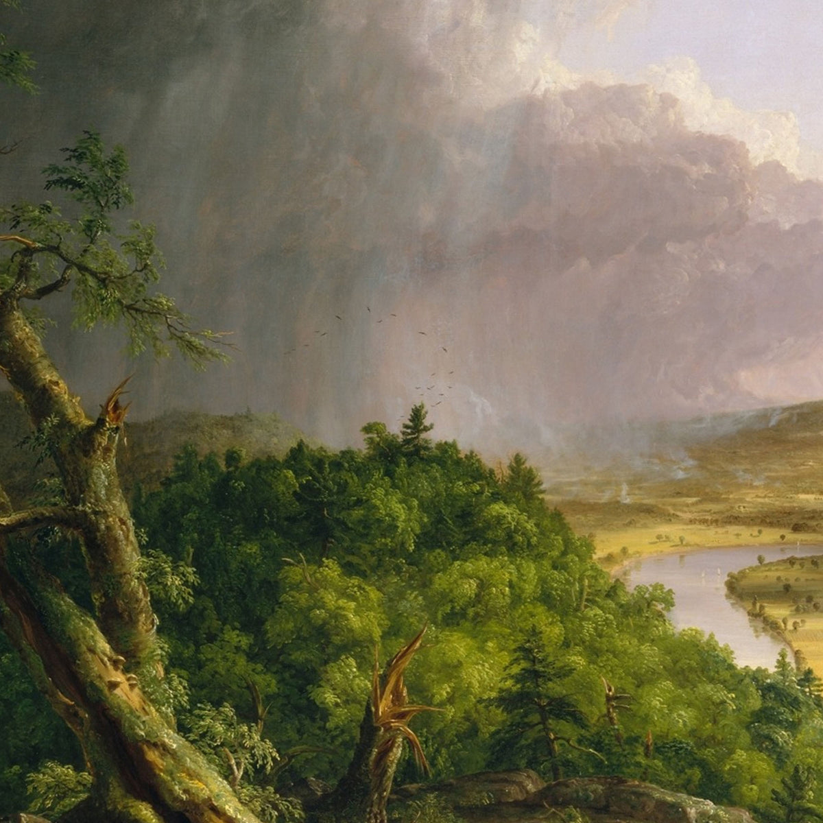 The Oxbow — Thomas Cole