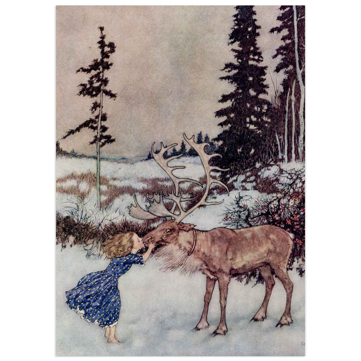 La petite fille et le renne - La reine des neiges, Edmond Dulac