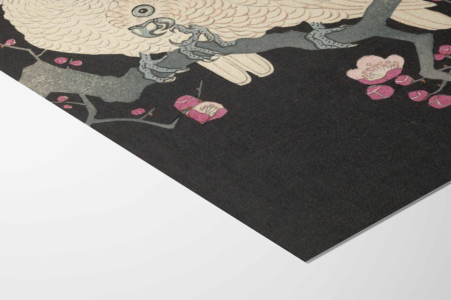 Deux Cacatoès et Fleurs de Prunier – Ohara Koson