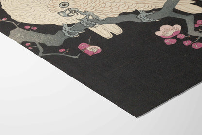 Deux Cacatoès et Fleurs de Prunier – Ohara Koson