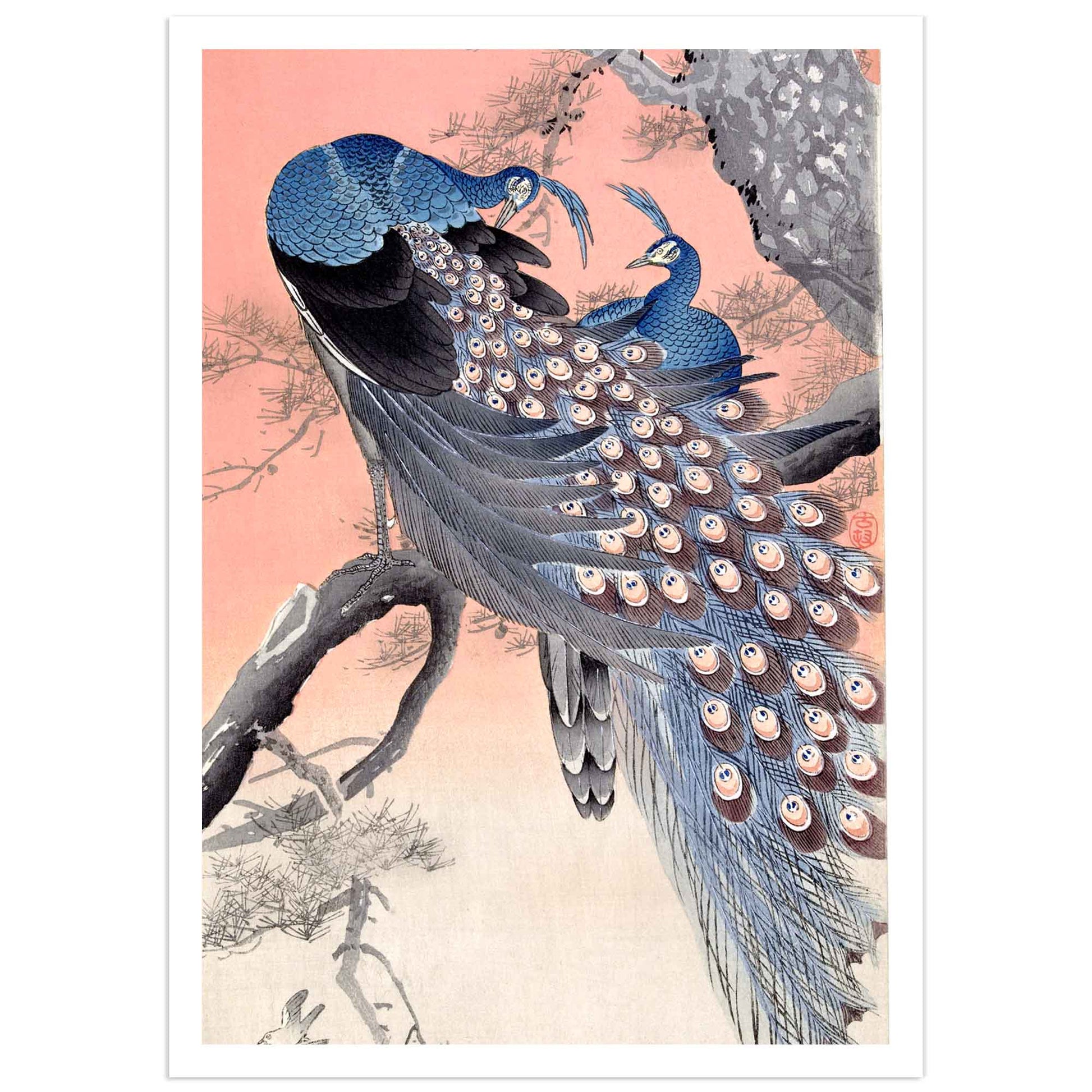 Two Peacocks on a Tree Branch by Ohara Koson - Japanese woodblock print featuring detailed peacocks and branches