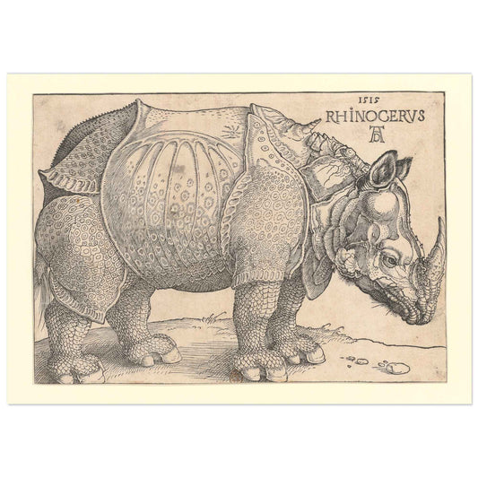 A high-definition print of Albrecht Dürer's Rhinoceros engraving, featuring a detailed black and white image of a rhinoceros with a fantastical depiction, showcasing the animal's armored appearance, scales, and an extra horn on its back.