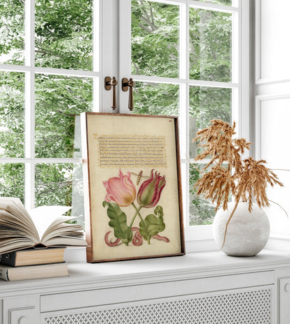 Tulipes, insectes et vers