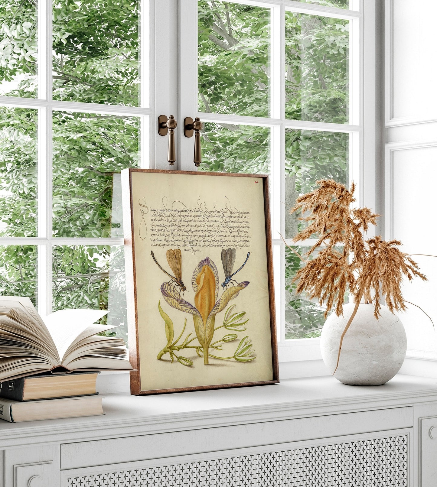 Damselflies, Spanish Iris, and Star-of-Bethlehem