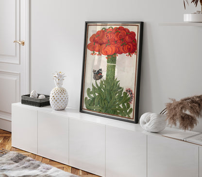 Boquet de lys oranges