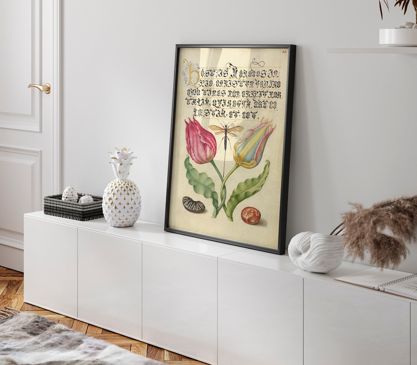 Gesner'sTulip, Ichneumon Fly, Kidney Bean, and Scarlet Runner Bean