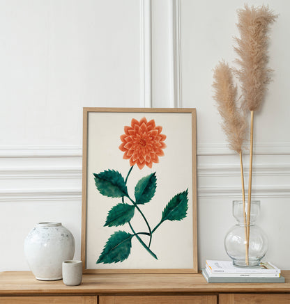 Dahlia flower