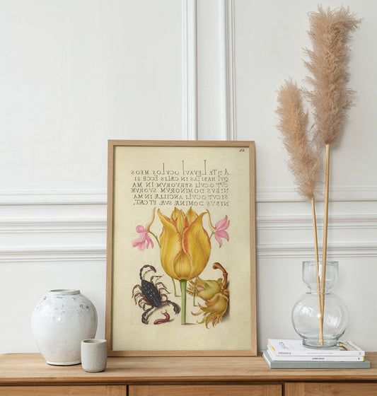 Tulip and scorpion