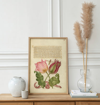 Tulipes, insectes et vers