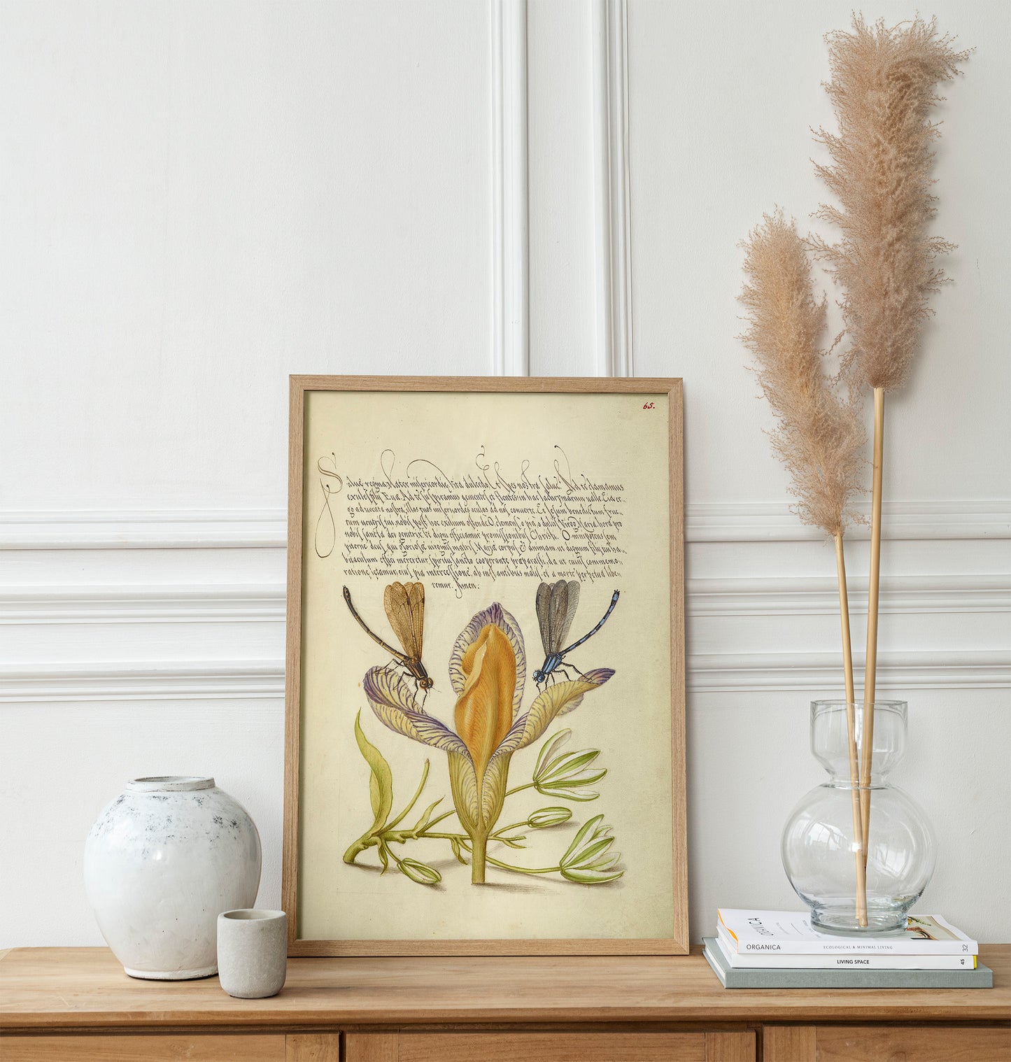 Damselflies, Spanish Iris, and Star-of-Bethlehem
