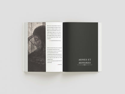 Knight, Death and the Devil (Free Excerpt of the Illustrated Digital Book)