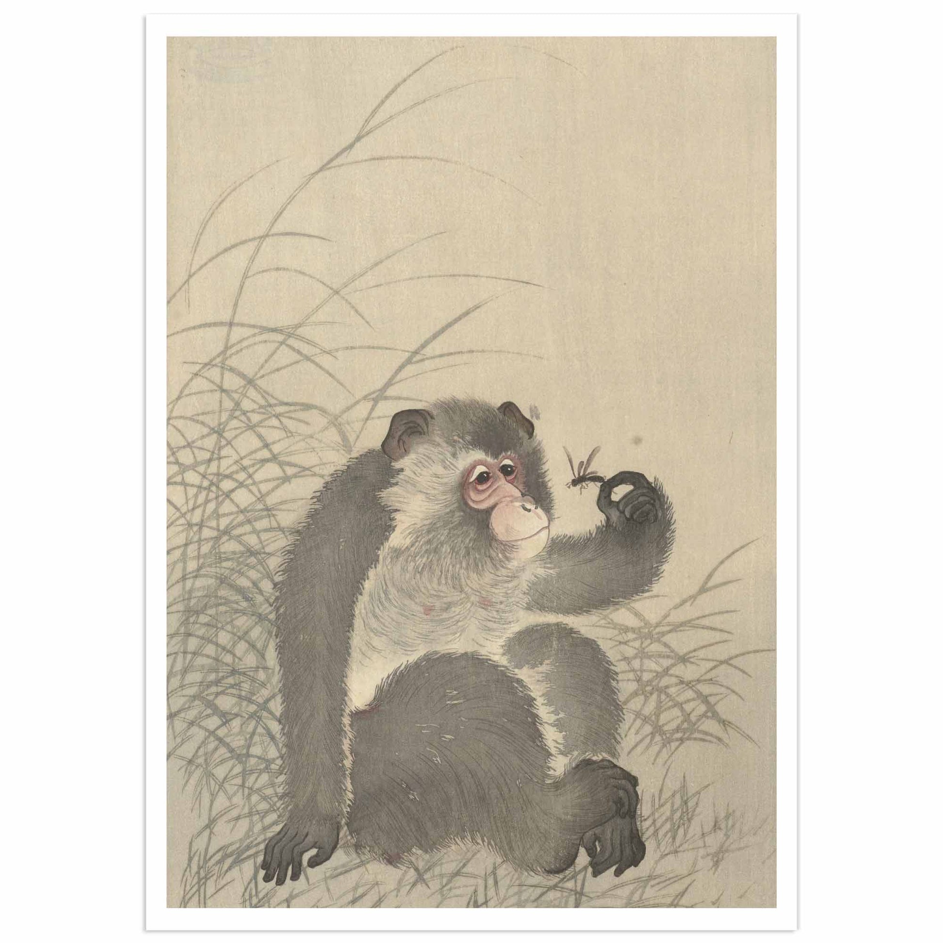 A seated monkey holds a dragonfly gently on its hand, gazing at it with gentle curiosity. Rendered in muted tones without black outline, the print emphasizes subtle feather and insect detail. Reproduction of the Japanese woodblock "Monkey Holding a Dragonfly" by Ohara Koson. Unframed
