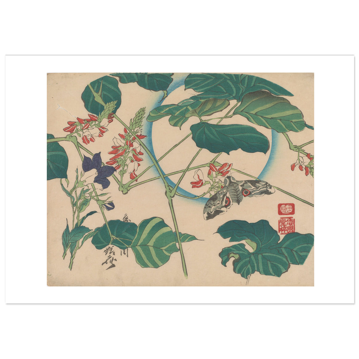 Moon, Bean and Moth by Kawanabe Kyōsai: a pale full moon ringed with blue behind a climbing bean plant with large striped green leaves and red and white flowers, a purple bellflower at the left and a grey moth with red eyespots at the right