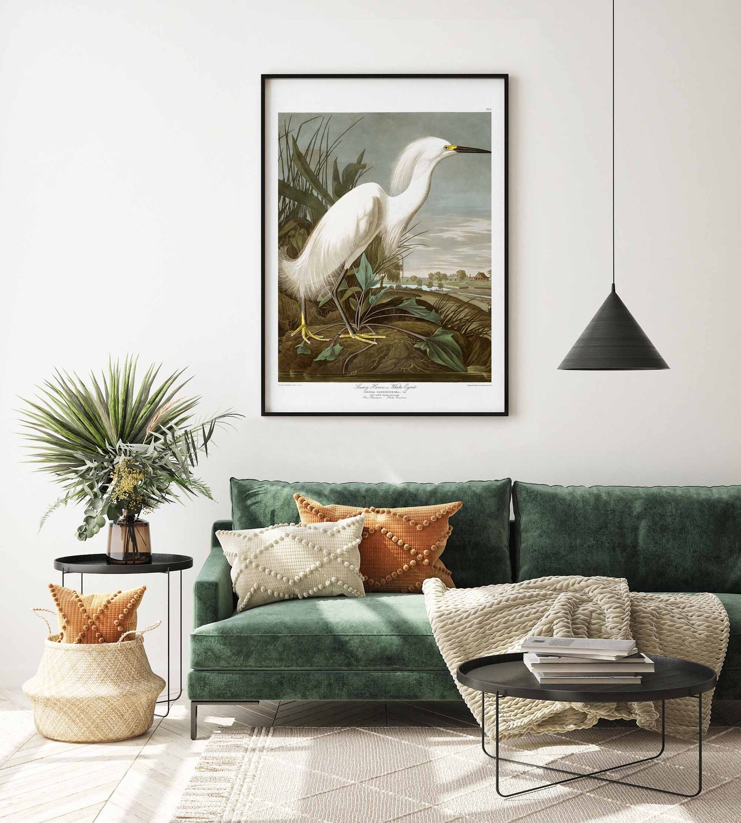 Snowy Heron - Affiche John James Audubon