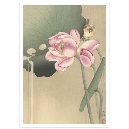 Ohara Koson poster, songbird and lotus