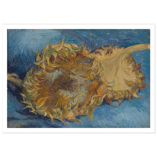 Sunflowers (1887), Van Gogh