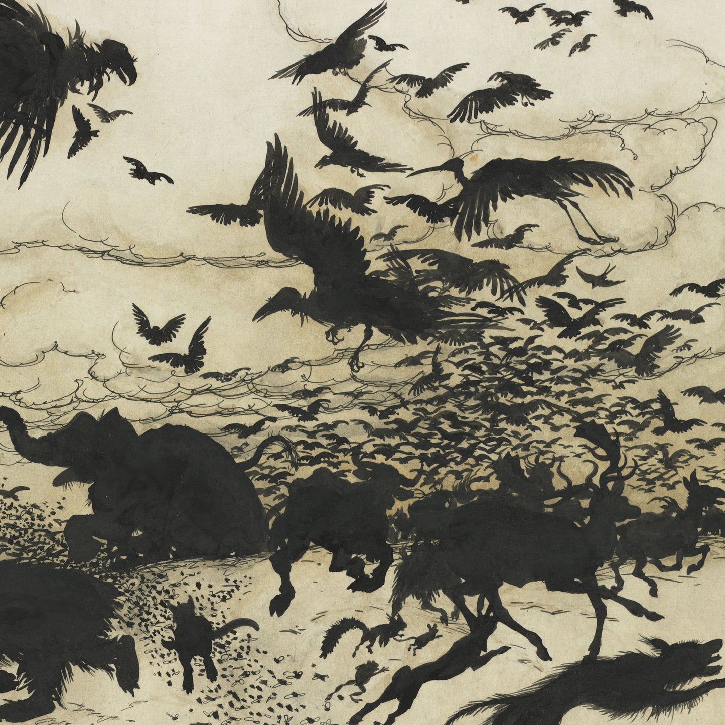 The Wren and the Bear – Affiche Arthur Rackham
