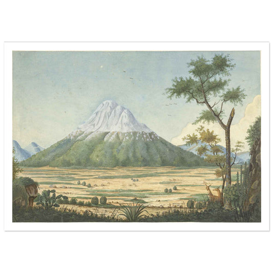 Tropical landscape with mountains