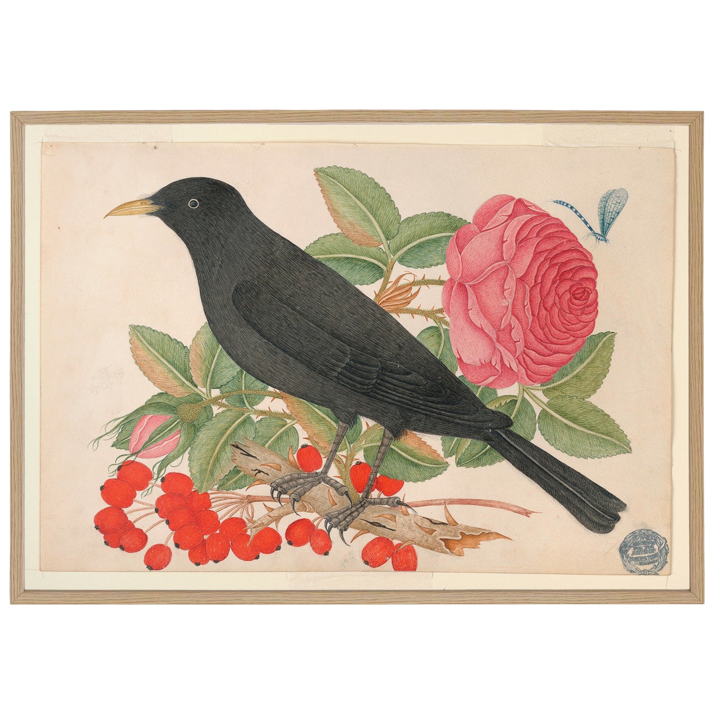 Imprimé oiseau vintage - Oiseau noir avec roses