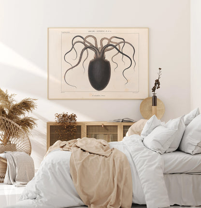 Vintage octopus illustration