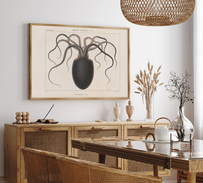 Vintage octopus illustration