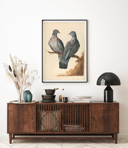Affiche Charles Collins "Pigeons Ramiers"