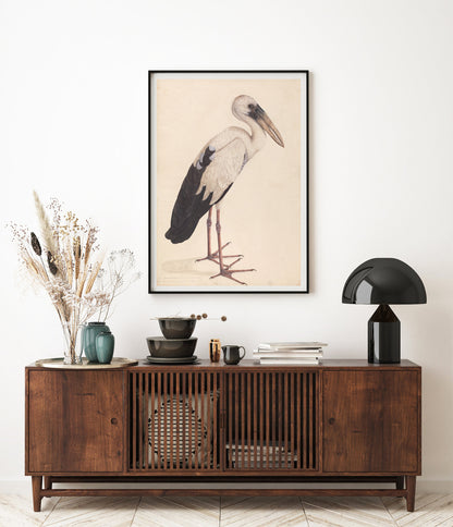 Affiche asiatique Openbill Stork