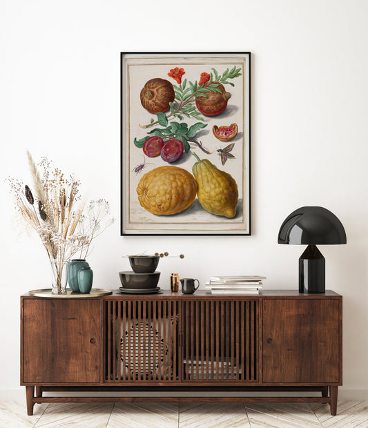 Pomegranate fruit, plum, citron, privet sphynx and beetle, Johann Walter